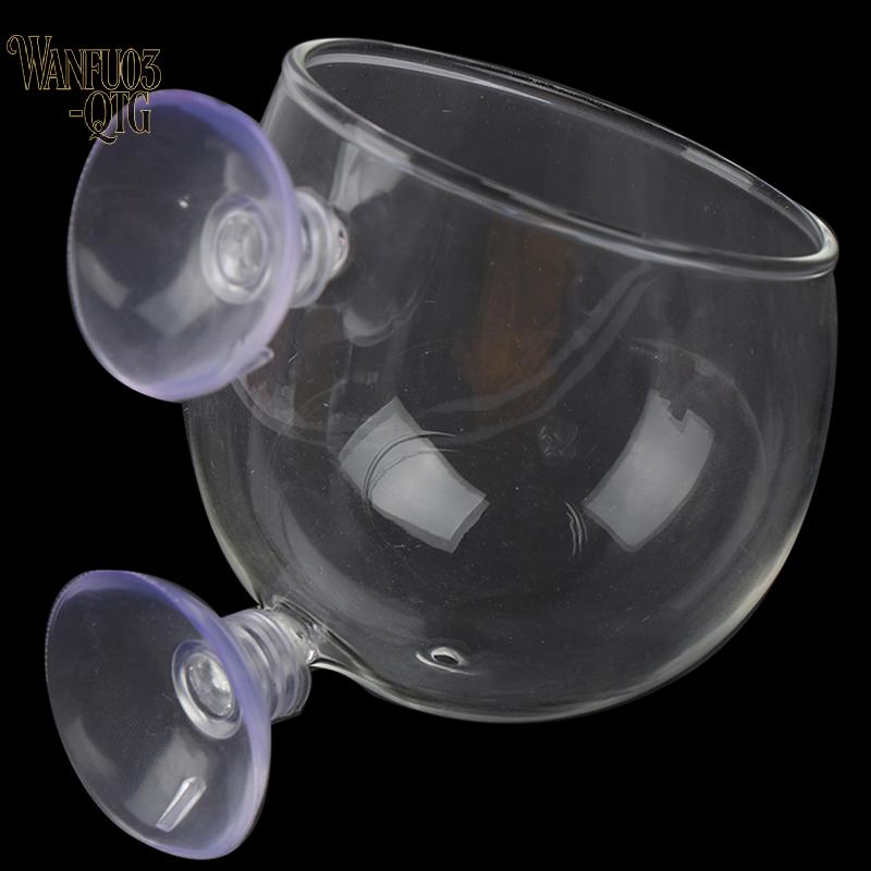 Hot Sale Fish Tank Mini Crystal Glass Pot Water Potted Aquatic Planting Cylinder Cup