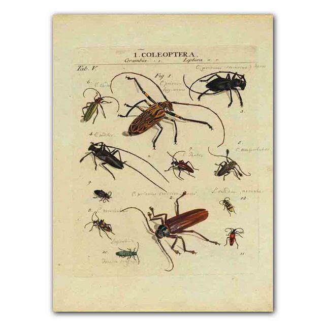 Nordic RETRO Art Canvas Painting Butterfly Insect Evolution Poster Living Room Corridor Wall Painting Home Decoration Mural No Frame