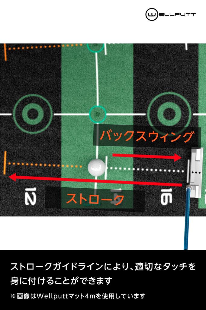 WELLPUTT Golf Putting 3M Mainstream Wellput Made in Officially Distributed in Mat, Model, Green, Zone, France, Japan.