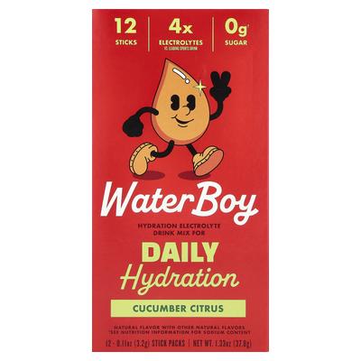Waterboy, Idratazione Quotidiana, Miscela per Bevanda Elettrolitica, Cetriolo Agrumi, 12 Bustine Monodose, 3.2g (0,11 once) Ogni