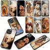 Handyhülle Tier Haustier Golden Retriever Hund für Xiaomi Poco F7 F6 F8 Ultra F5 X7 X6 X5 X3 NFC M7 M6 Pro C85 C75 C65 C71 C61 Hülle
