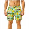 Beach Shorts Youth Hawaiian Shorts Mesh Swim Trunks Slim Xl