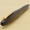 Platinum Fountain Pen Izumo Ironwood Fine Nib (Glostagayasan) (F) PIZ-50000T#21