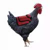 Outdoor Chicken Saddle Back Protector - Adjustable Poultry Apron