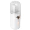 30ml Facial Humidifier Portable Atomization USB Charging Face Mist Sprayer