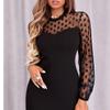 Dress Polka Dot Slim Fit Long Sleeves Dress Mesh