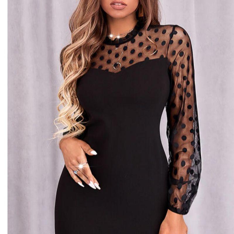 Dress Polka Dot Slim Fit Long Sleeves Dress Mesh