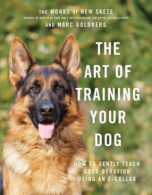 The Art of Training Your Dog: How To Gently Teach Good Behavior Using an ECollar