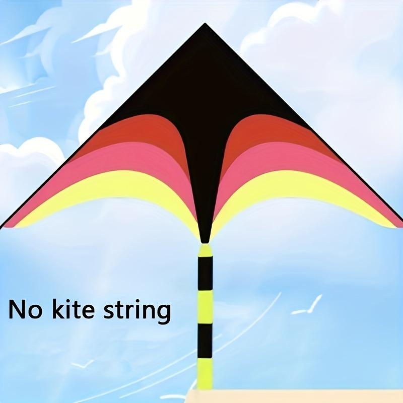 עפיפון משולש ירוק עם זנב ארוך