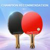 Professional DHS Table Tennis Racket Genuine Paddle Raquetas Tenis De Mesa Carbon Bat ITTF Certified