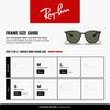 Sunglasses 0RB4306F BLACK Japan 54 Asian Fit Ray-Ban 601/71 (FREE Size)