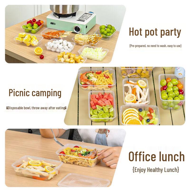 temeiju Disposable Plastic Lunch Boxes with Lids