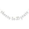 Glitter Silver Cheers To 25 Years Banner - 25th Birthday Sign Bunting 25th Marriage Anniversary Party Bunting Decorations