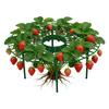 Circular strawberry rack Garden supplies Strawberry planting tray Anti rotten fruit bracket Green plant support frame Stand