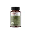 Jiva Giloy Herbal Capsules 60 Count Pack of 2 | Natural Immunity Booster & Anti-Aging Supplement for Daily Wellness