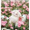 Genuine Tutulong 400% Blind Box Fantasy Creature Series Cute Rabbit Dragon Anime Figure Dolls Mystery Box Trendy toys girl Gift