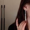 S925 Sterling Silver Elegant Long Tassel Earrings with Sparkling Zircon