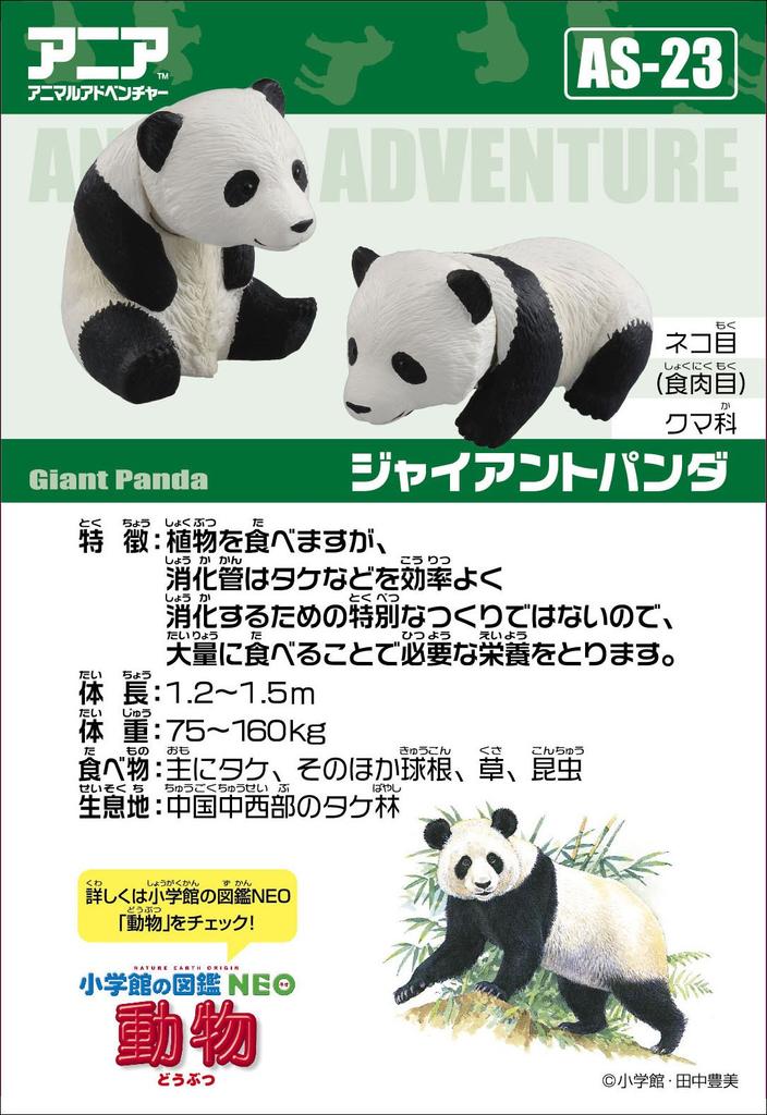 Ania Giant Panda Baby AS-23