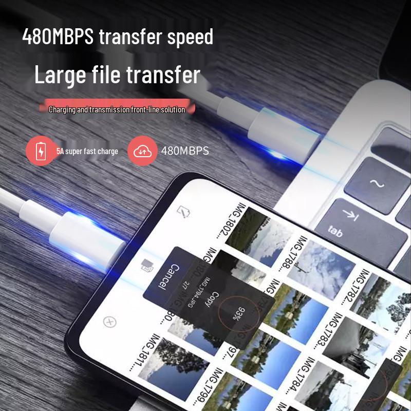 100W Fast Charging Double-Headed PD Data Cable for iPhone 15/Tablet