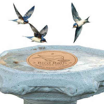 Bird Bath Copper Disk 0.8mm Thick Copper Cleaning Disk Universal Copper Bird Bath Purification Disk for Garden Patio Fountain
