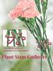 4PCS Reusable Plant Stem Folding Frame Garden Tools No Stake Trellis Plant Stem Support Support Branches Stem Organizer