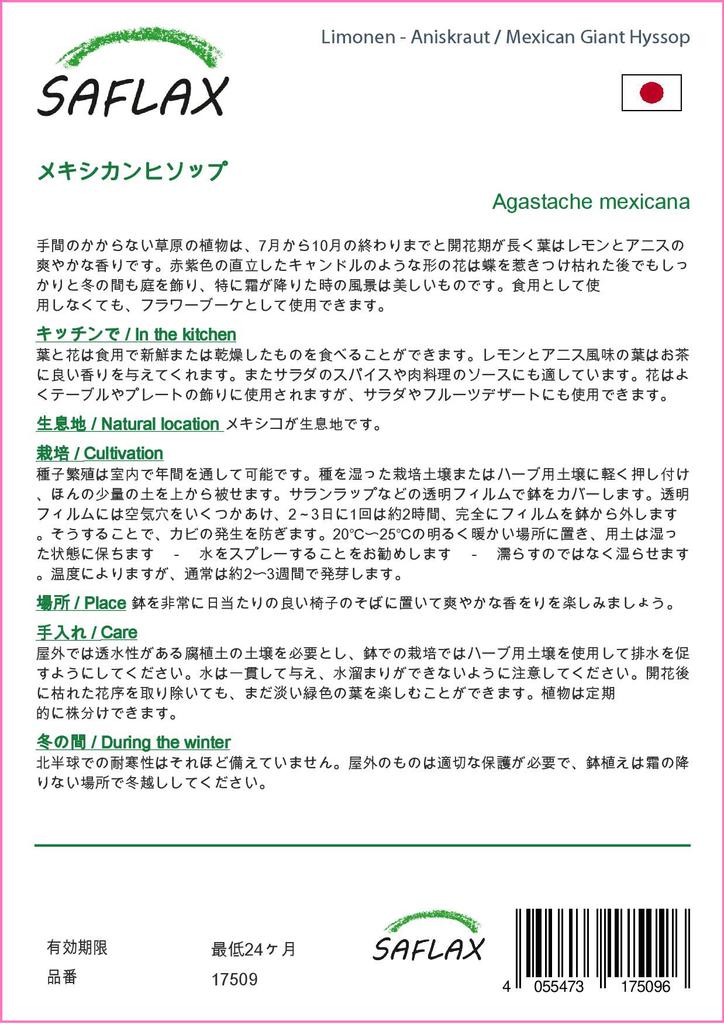 SAFLAX Zahrada v sáčku - Mexický obří yzop - 50 semen - Se substrátem ve vhodném stojacím sáčku - Agastache mexicana
