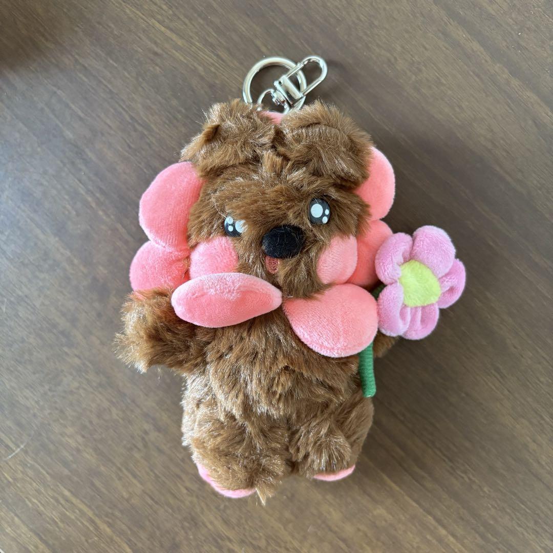 

[USED] ILLIT Plush Toy Wonhee