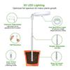 Grow Lights For Indoor Plants Plant Grow Light Timing Dimmable LED Hydroponic Lamp For Greenhouse Flower Growth Bonsai Care