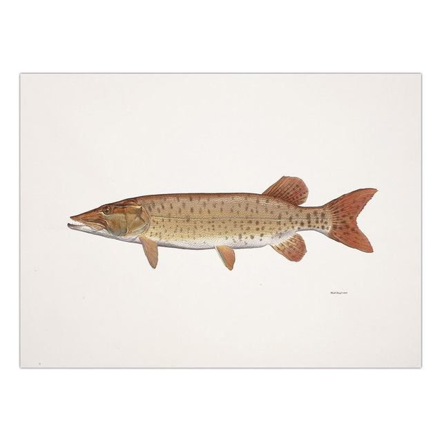Decorative Painting Retro Fish Restaurant Hotel Paintings Animal Print Wall Pictures for Living Room Flatfish Wall Art Canvas
