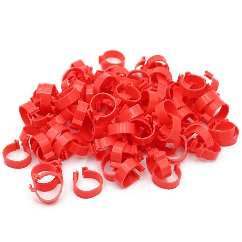 100 Pcs Chicken Foot Rings 6 Colors Poutry Duck Pigeon Geese Quail Bird Ring Carry tools Feeding Logo