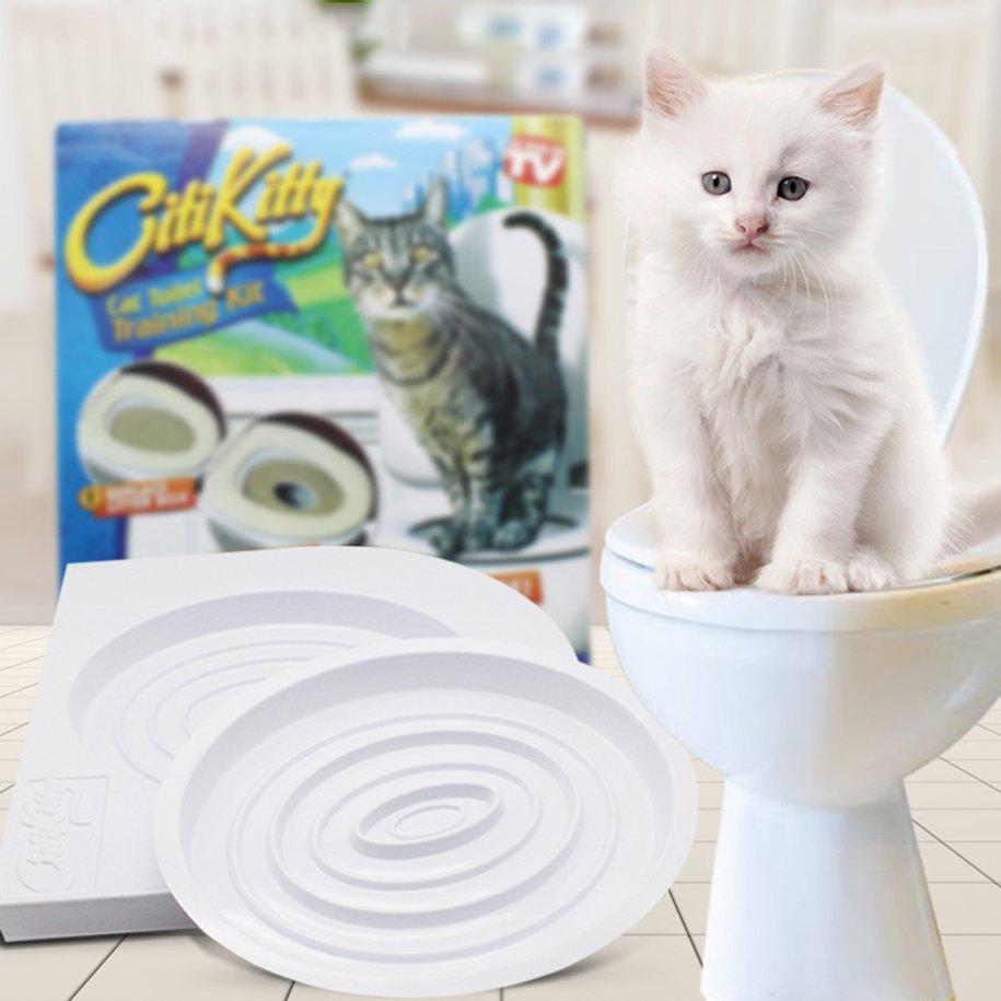 kitty potty training