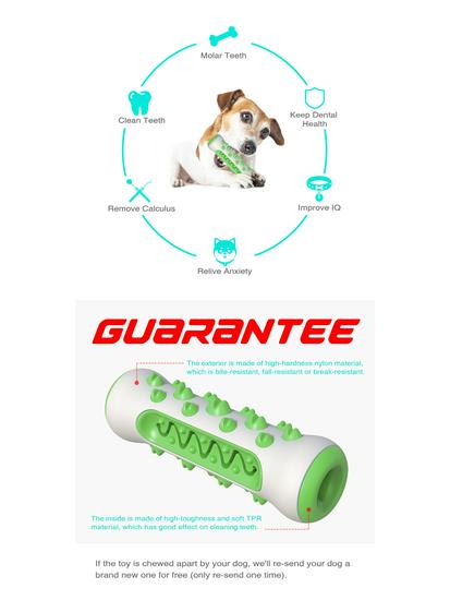 Teething Sticks & Chew-Resistant Dental Bones for Dogs - Toothbrush Toys & Chew Toys