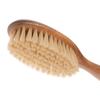 Redecker Pig Bristle Cat Brush (with Remover)