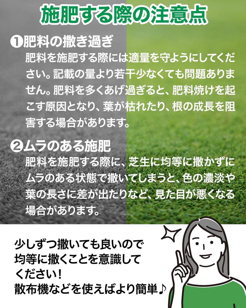 CLEAN HOUSE Lawn Fertilizer 4kg, Made In Japan