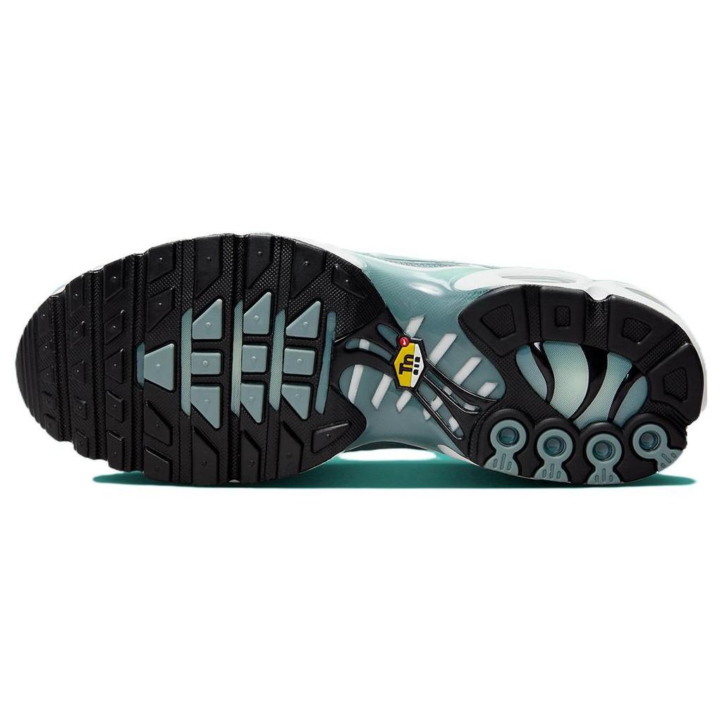 Nike Air Max Plus Palm Pack - Waterway Pánske tenisky Strieborná Sklolaminátová Biela FV0394-300