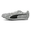 Puma EvoSpeed Low Top Training Shoes Men Shoes 194478-01