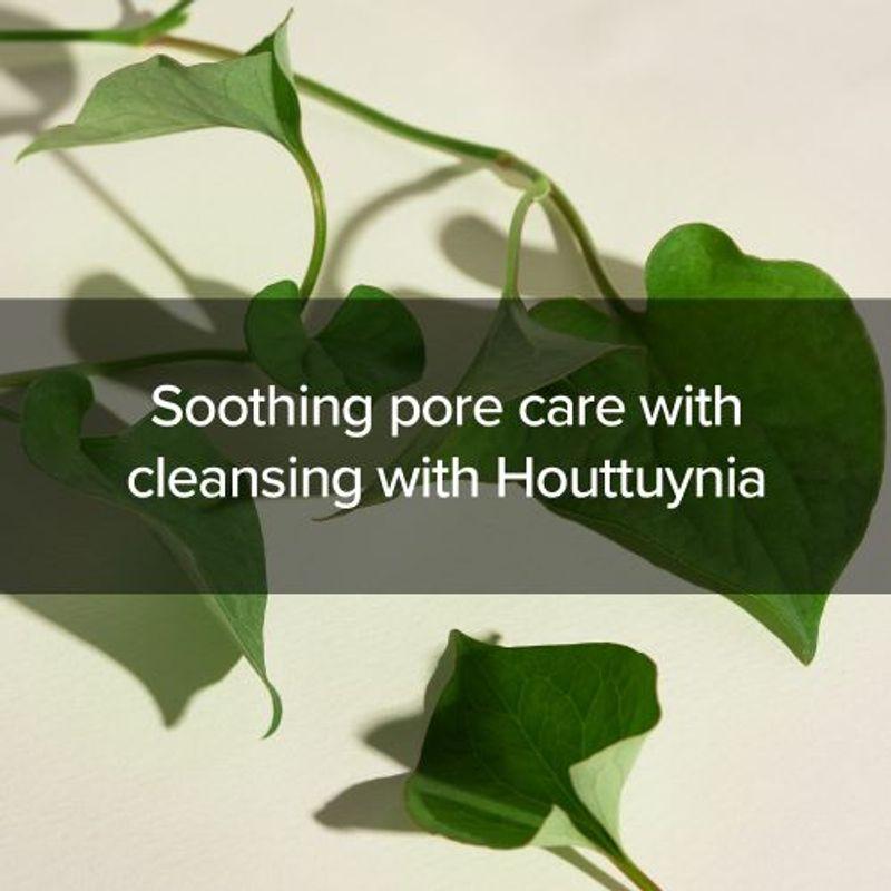 Mary&May Houttuynia Cordata + Tea Tree Cleansing Foam 150ml