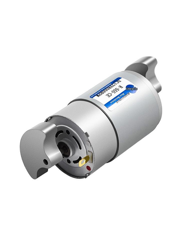 R-555 Mini Doppelkopf-Vibrationsmotor 6V/12V/24V