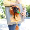 Portable Cat Carrier for Small Dogs Canvas Purse, Plush Lion Pet Tote with Head Lightweight Bag Outdoors Hole, Safety Buckle, Foldable Shoulder