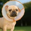 Anti-Chew Cat Elizabethan Collar Adjustable Dog Anti-Bite Collar Cat Protective Collar  Pet Care