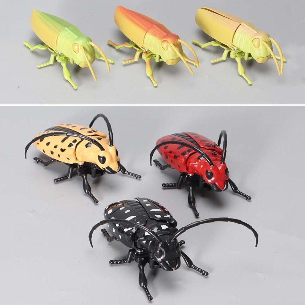 Simulation Chain Winding Insect Toys Plastic Animals Wind Up Insect Insect Model Toy  Party Gifts