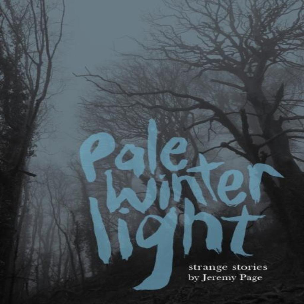 Pale Winter Light by Jeremy Page Paperback Book 9781916905191