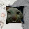 Cat Funny MEME Pillow Case Square Double-Sided Printing Short Plush Sofa Cushion Cover Bedroom Bedside Pillow