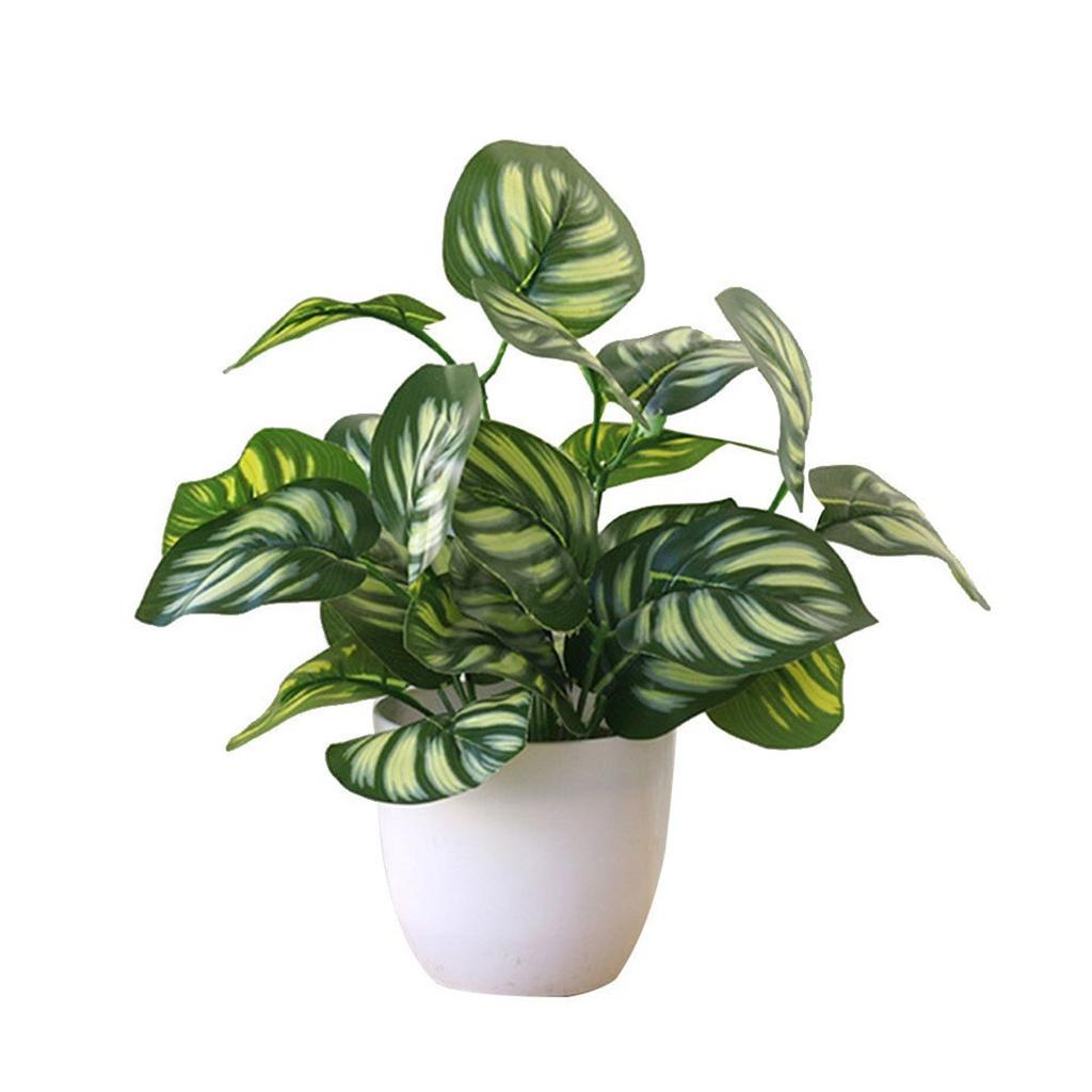 Flower Foliage  Potted Bonsai Office Decor