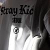 Pre-ordina SKZOO Every Where All Around the World in SEOUL T-shirt Seoul ver.