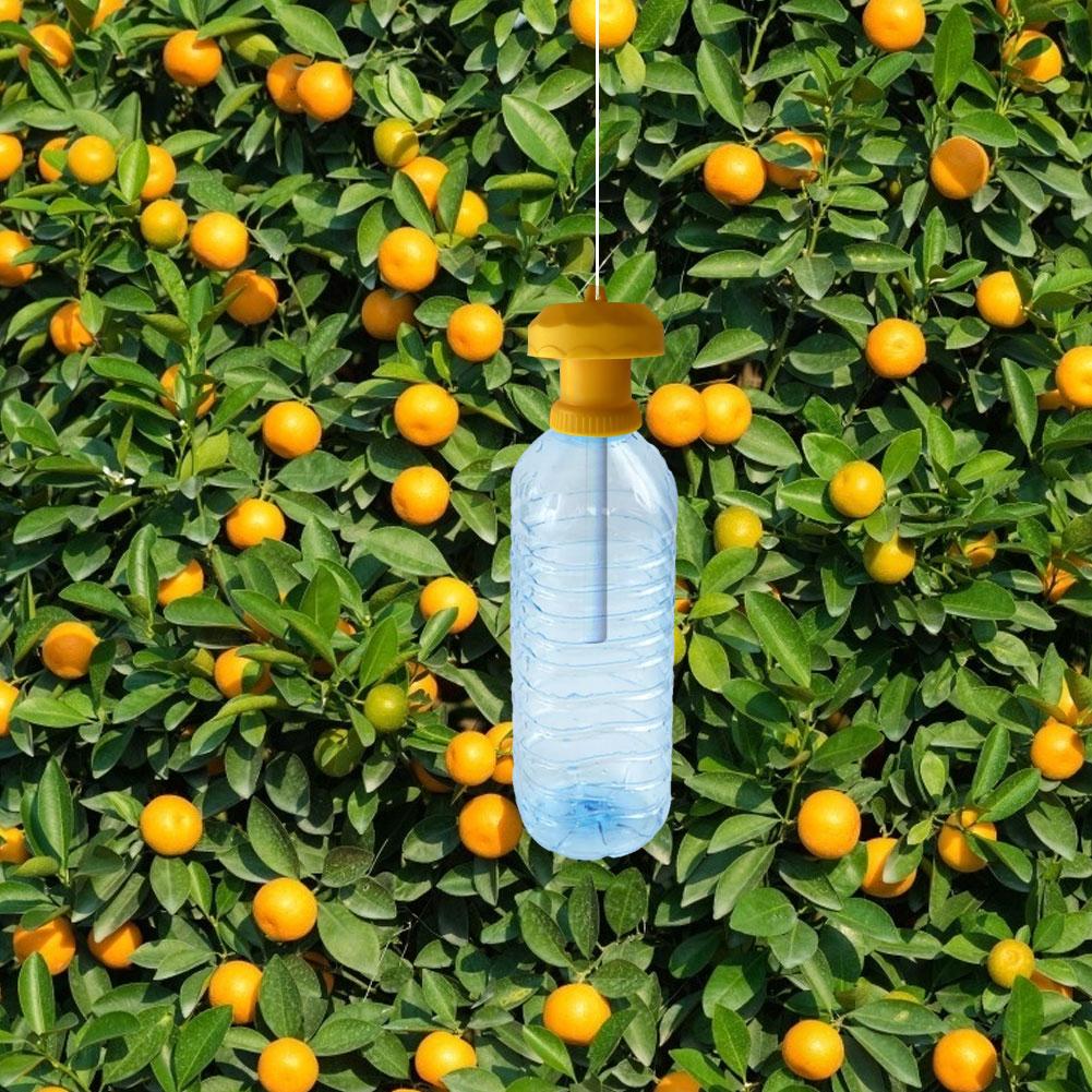 

Pest Control Drosophila Catcher Fruit Fly Trap Killer Cover Insect Beverage Bottle Vegetable Simple Farm Home Garden China Mainland