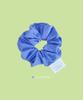 Youwould Lovethis Gelato Nylon Scrunchie (5 Colors)