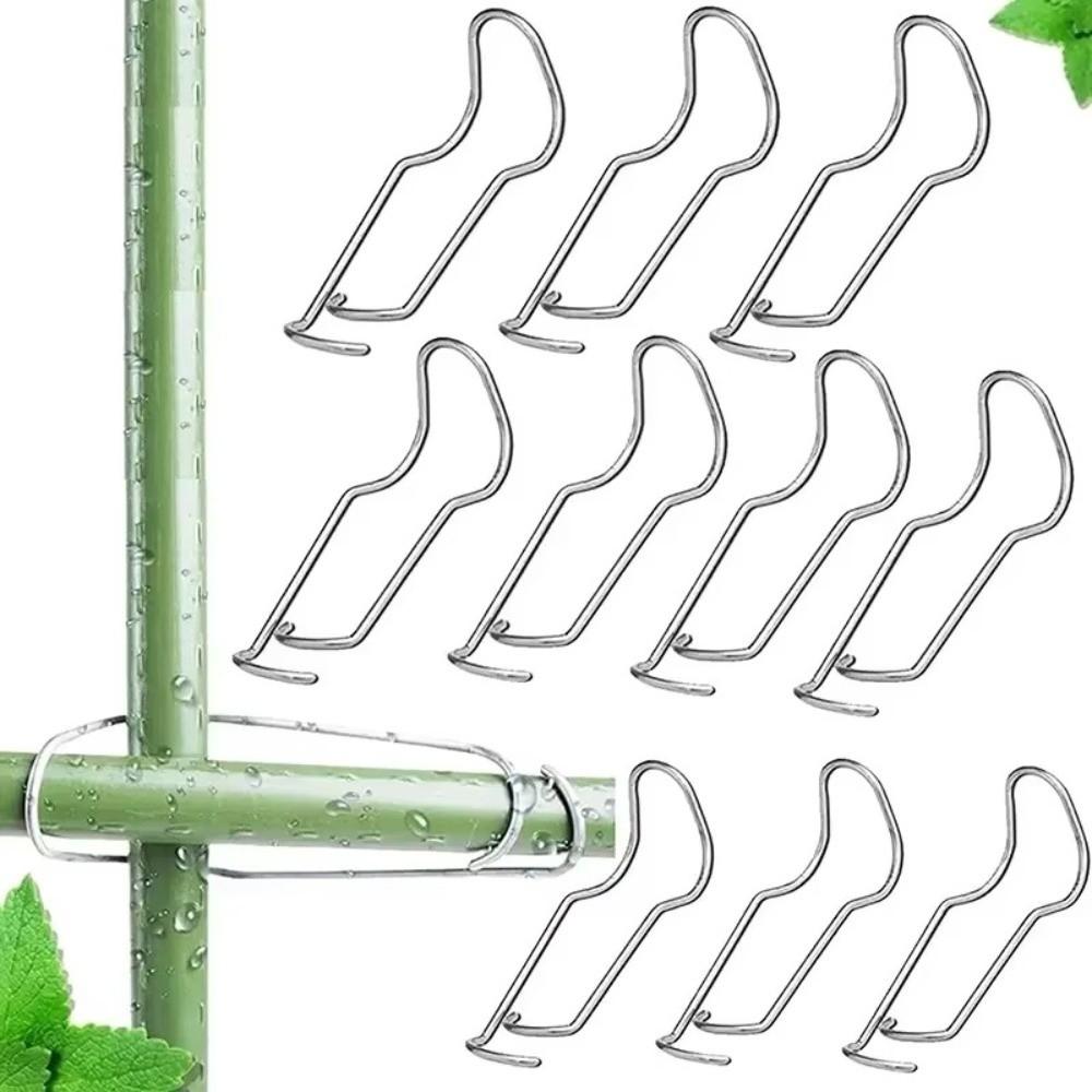 30Pcs Iron Plant Trellis Connecting Buckles 11/16/20 MM Plant Connector Clip  Garden Greenhouse