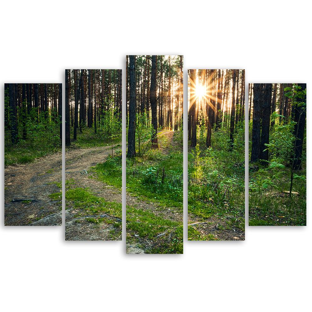 Five Piece Picture Canvas Print Forest Nature Road Landscape
