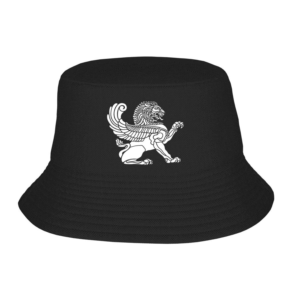 Persian Lion Iranian Persia Symbolism Icons Bucket Hat Hawaii Fisherman Caps Foldable Fishing Visor Hats For Couple Cap
